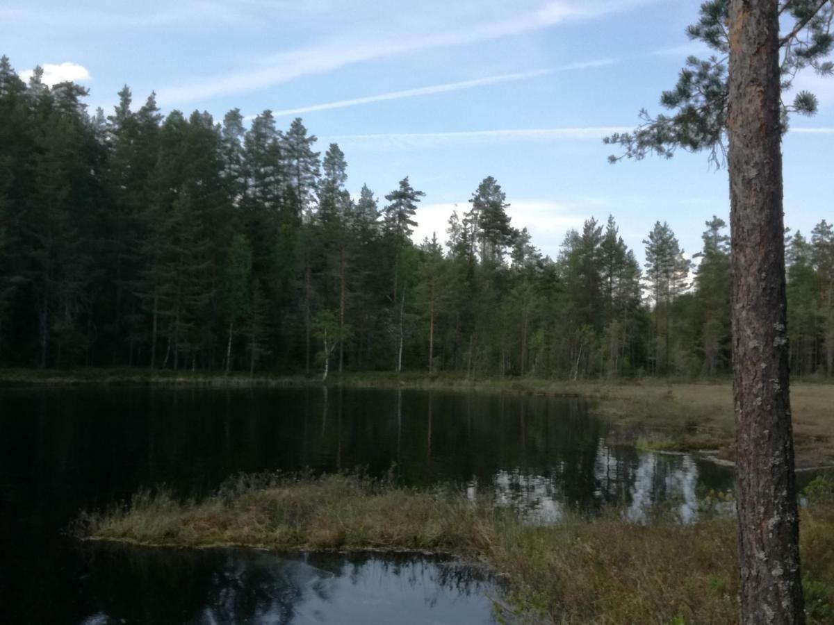 Presterudveien 125 Vikersund Bagian luar foto