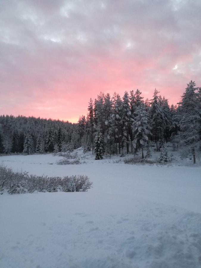 Presterudveien 125 Vikersund Bagian luar foto