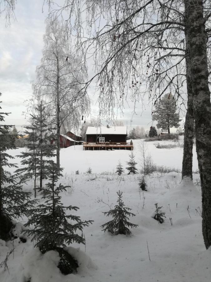 Presterudveien 125 Vikersund Bagian luar foto