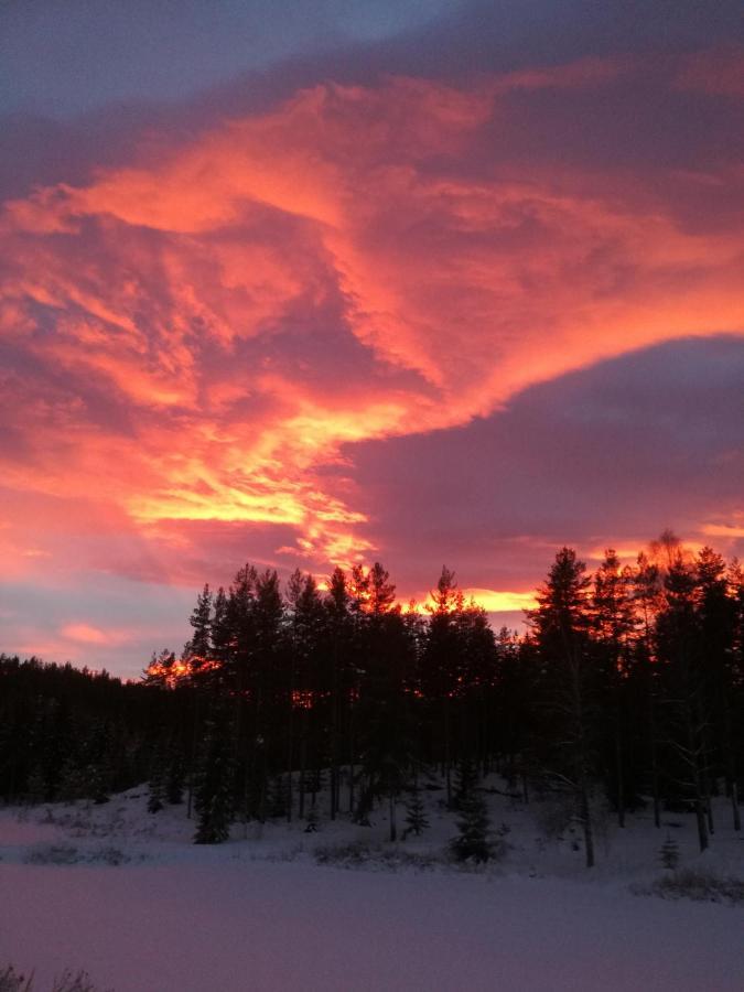 Presterudveien 125 Vikersund Bagian luar foto