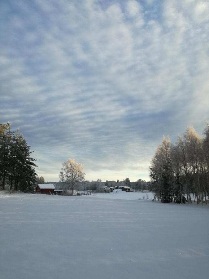 Presterudveien 125 Vikersund Bagian luar foto